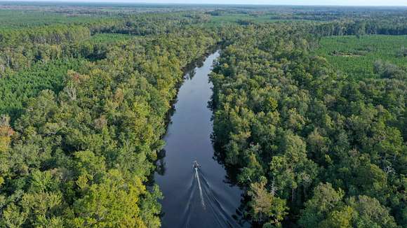 1,803 Acres of Recreational Land for Sale in Crawfordville, Florida