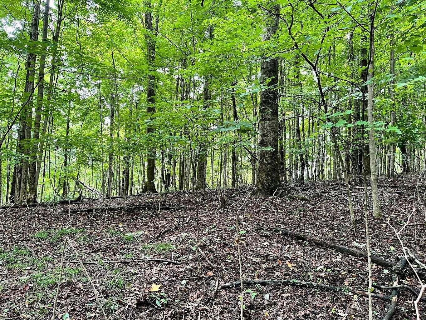 4 Acres of Residential Land for Sale in Blountville, Tennessee