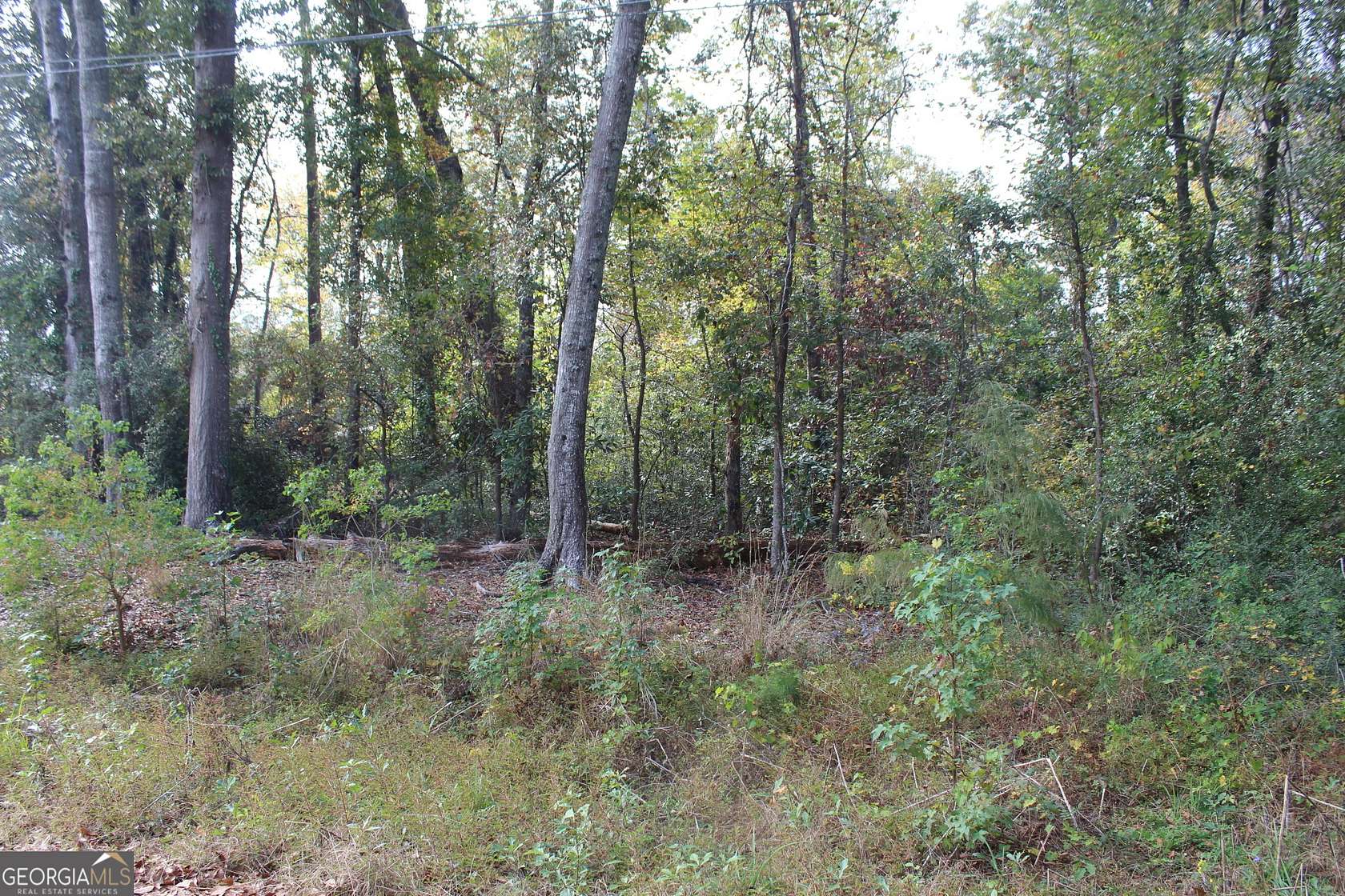 0.31 Acres of Residential Land for Sale in Statesboro, Georgia