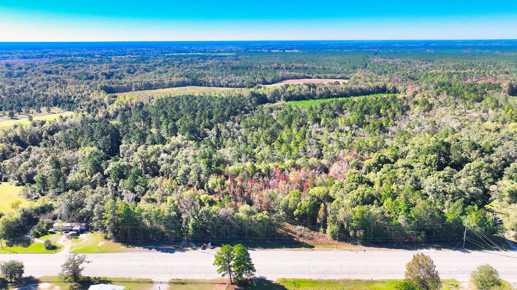 23.5 Acres of Land for Sale in Lumber City, Georgia