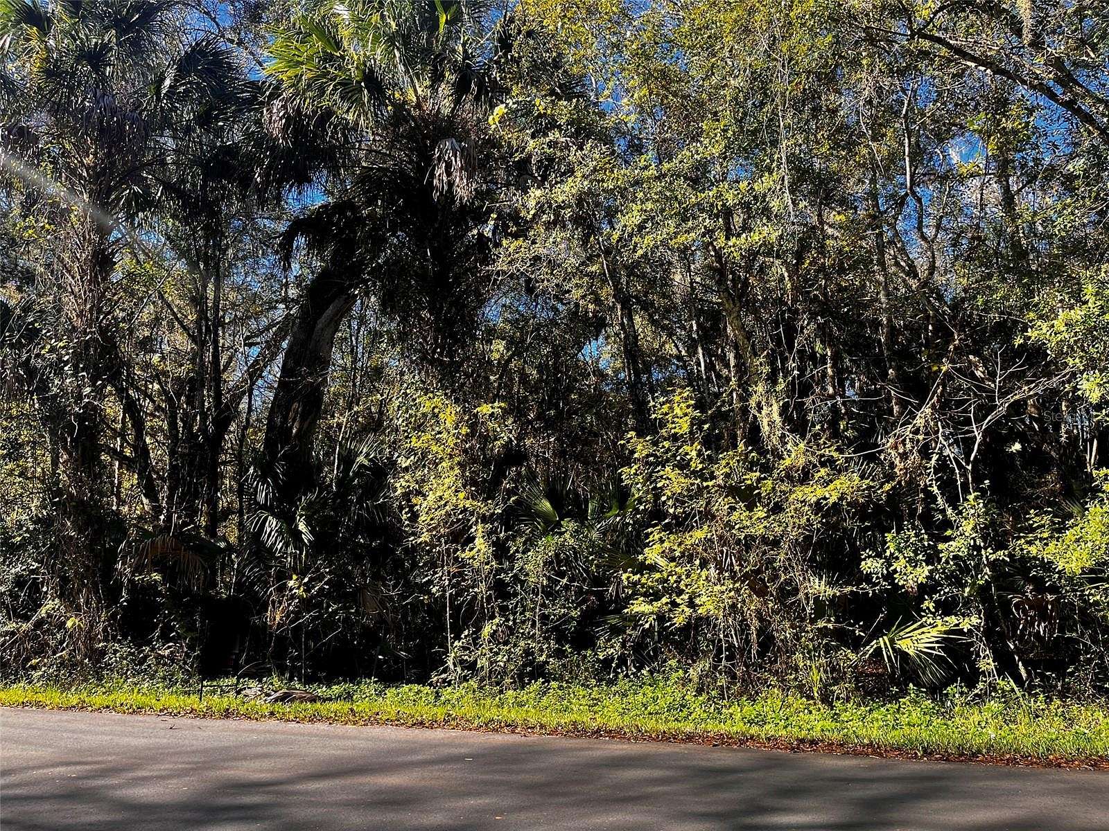 0.63 Acres of Residential Land for Sale in Inverness, Florida
