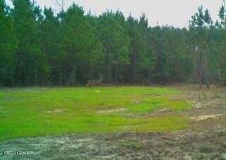 12.9 Acres of Recreational Land for Sale in Vernon, Florida