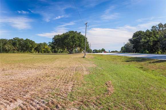 15.3 Acres of Land for Sale in Altoona, Florida
