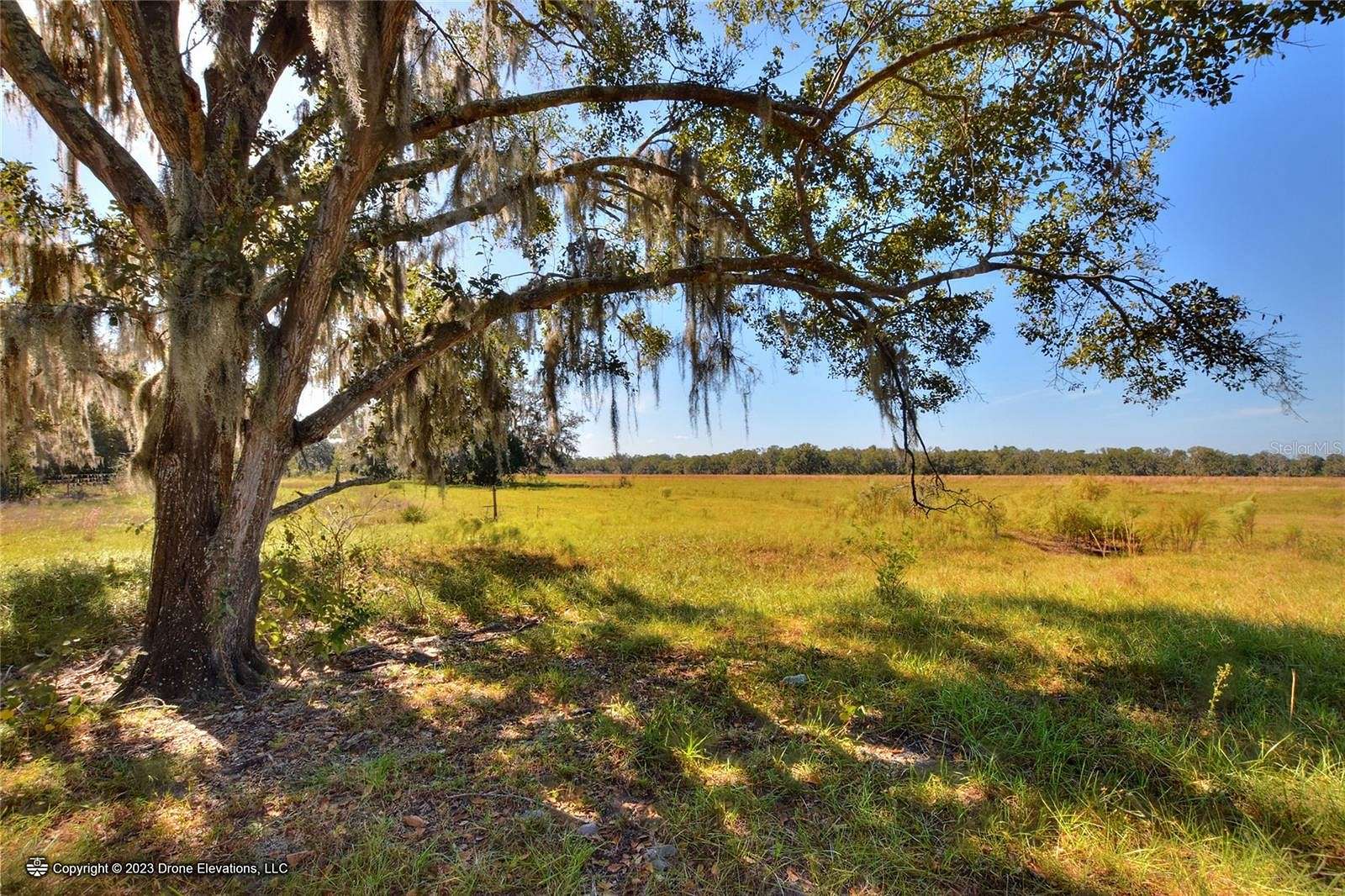 8.8 Acres of Residential Land for Sale in Lithia, Florida