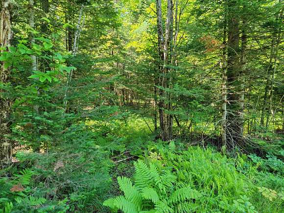 5.2 Acres of Residential Land for Sale in Stratford, New Hampshire