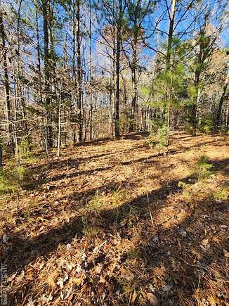 1.8 Acres of Residential Land for Sale in Littleton, North Carolina