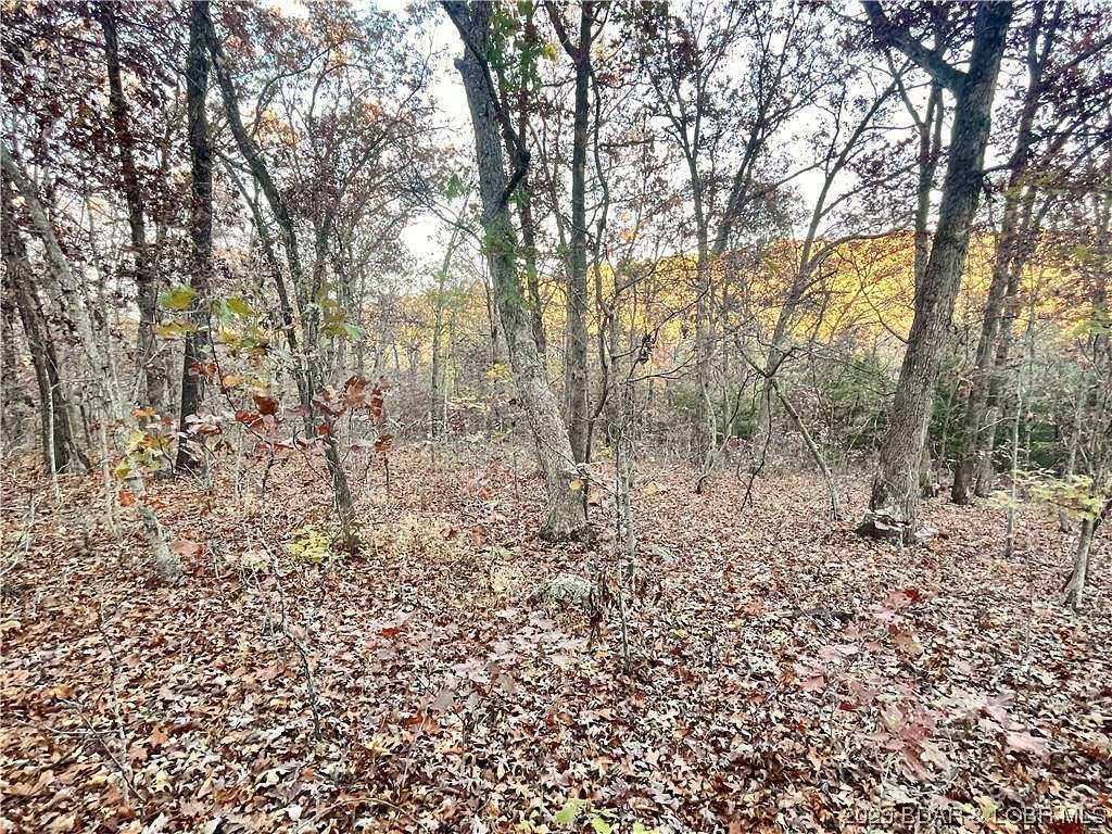 0.25 Acres of Residential Land for Sale in Rocky Mount, Missouri
