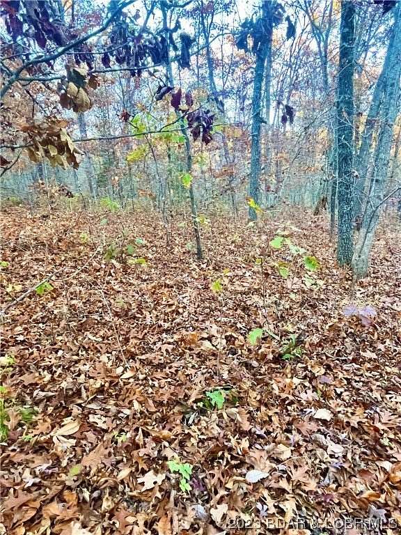 0.25 Acres of Residential Land for Sale in Rocky Mount, Missouri