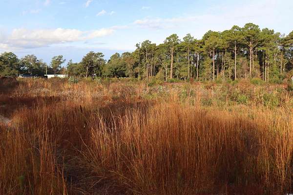 3.1 Acres of Commercial Land for Sale in Pawleys Island, South Carolina