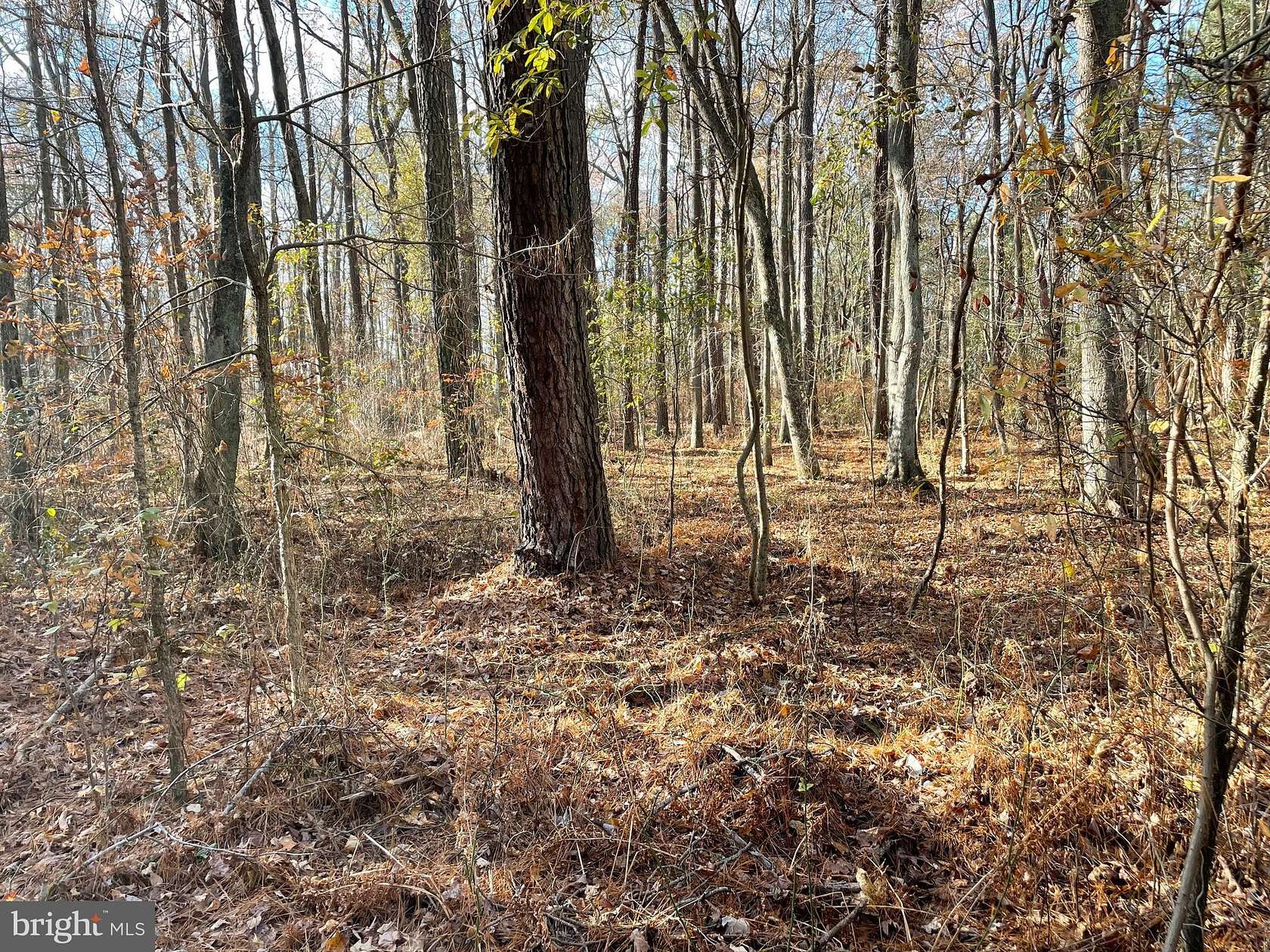 3.3 Acres of Residential Land for Sale in Princess Anne, Maryland