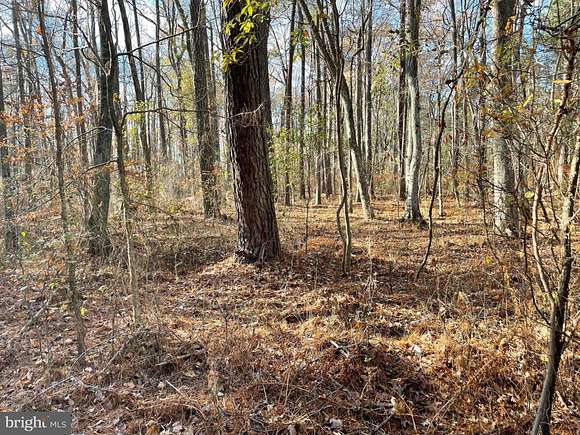 3.3 Acres of Residential Land for Sale in Princess Anne, Maryland