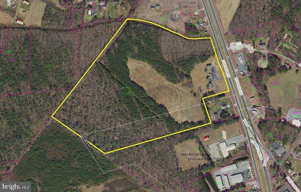 54.5 Acres of Land for Sale in Georgetown, Delaware