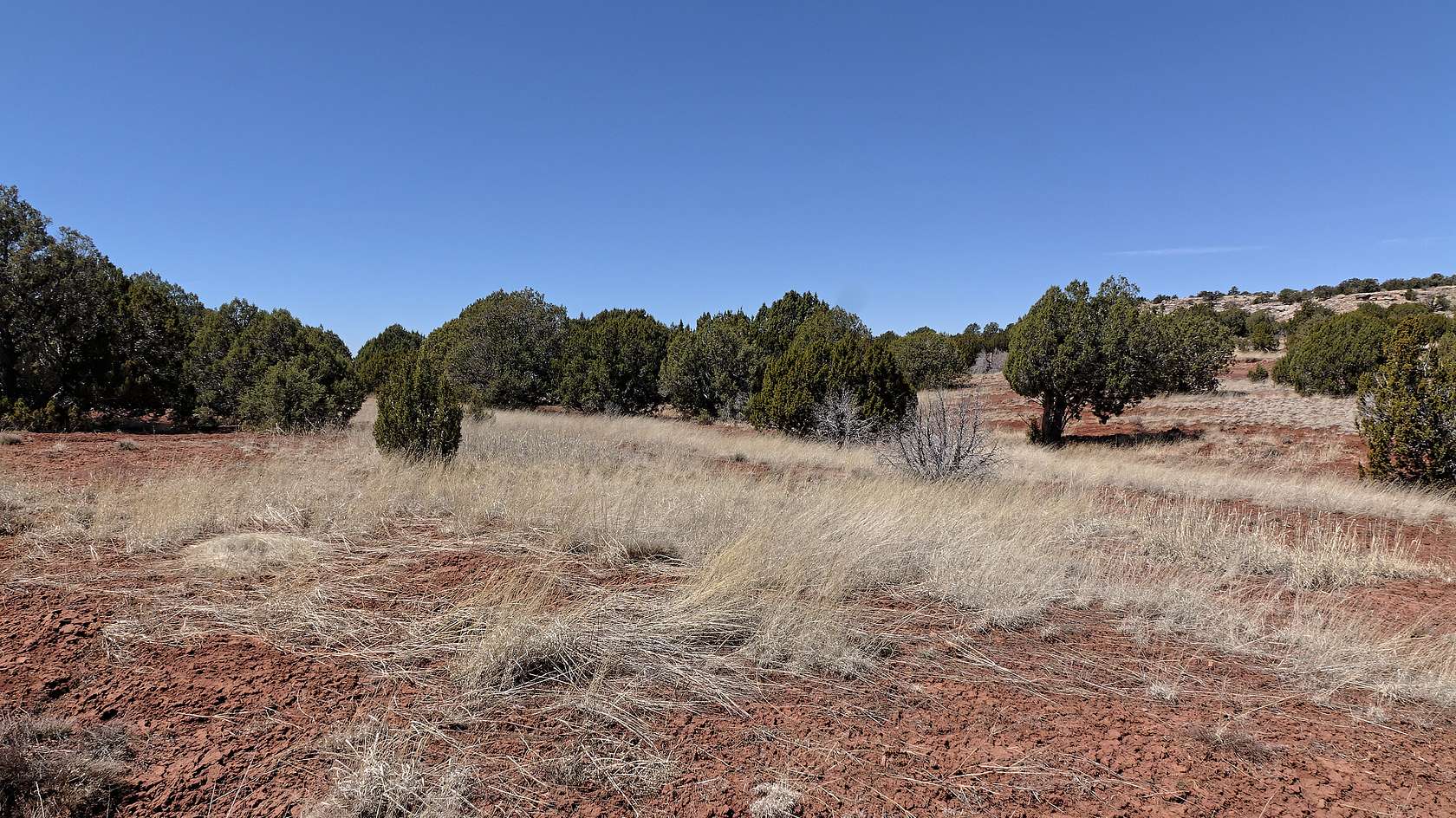 2.5 Acres of Residential Land for Sale in Deming, New Mexico