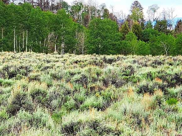 4 Acres of Residential Land for Sale in Powderhorn, Colorado