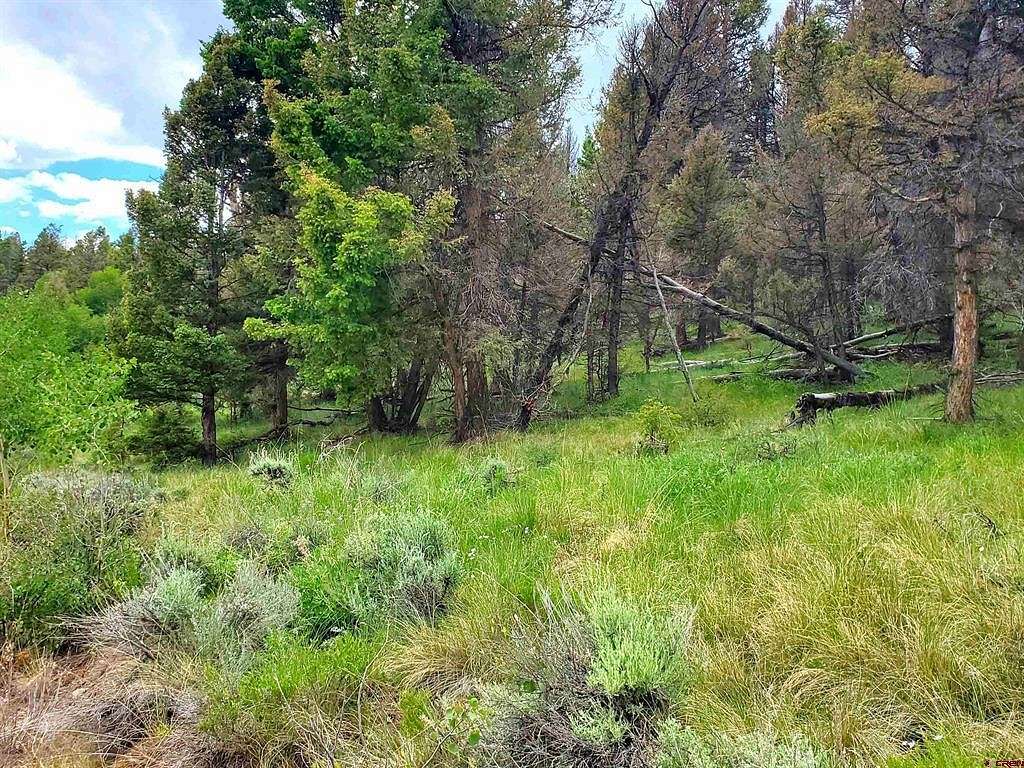 2.8 Acres of Residential Land for Sale in Powderhorn, Colorado