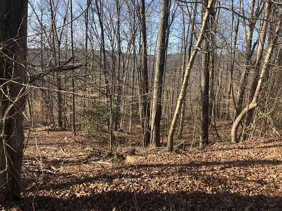 0.61 Acres of Residential Land for Sale in Pineville, Kentucky
