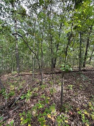 5 Acres of Residential Land for Sale in Edwards, Missouri
