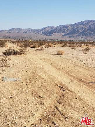 20 Acres of Land for Sale in Twentynine Palms, California