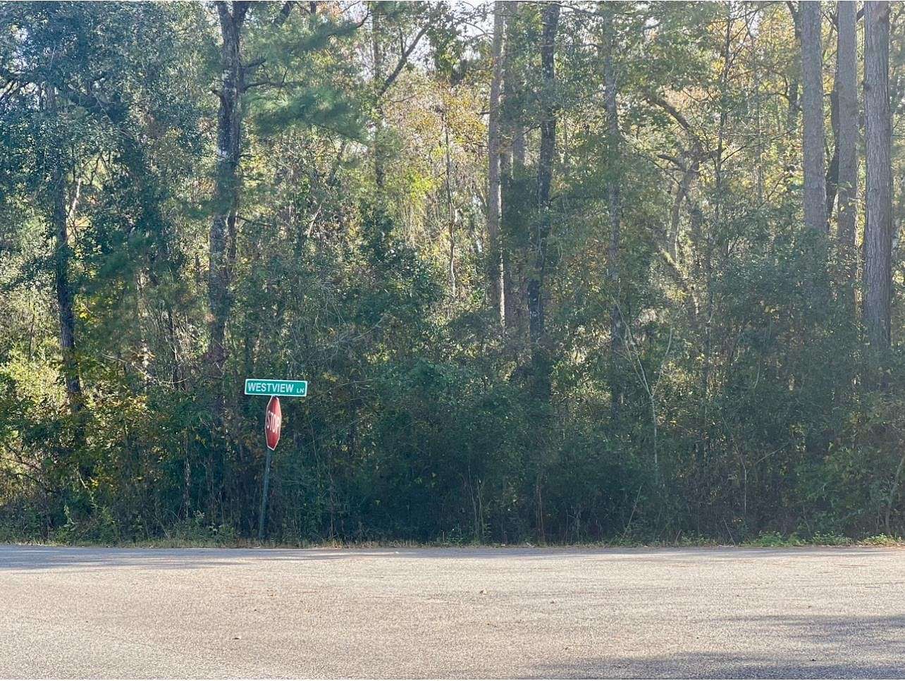 1 Acre of Residential Land for Sale in Monticello, Florida