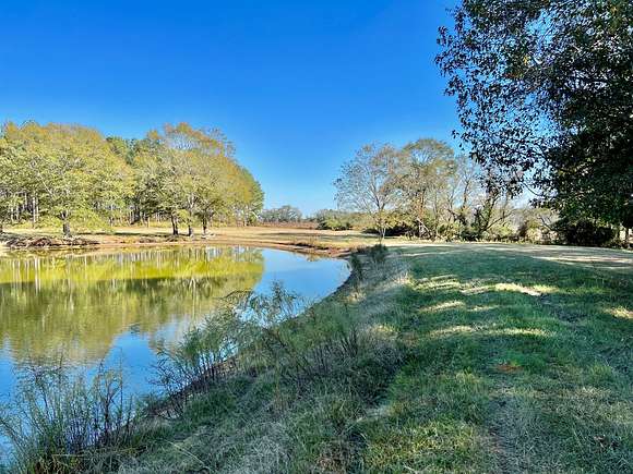 22.3 Acres of Land for Sale in Brundidge, Alabama