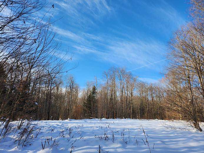 9.1 Acres of Land for Sale in Williamstown, New York