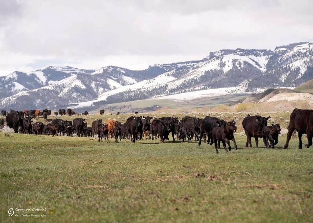 13,886 Acres of Agricultural Land with Home for Sale in Meeteetse, Wyoming