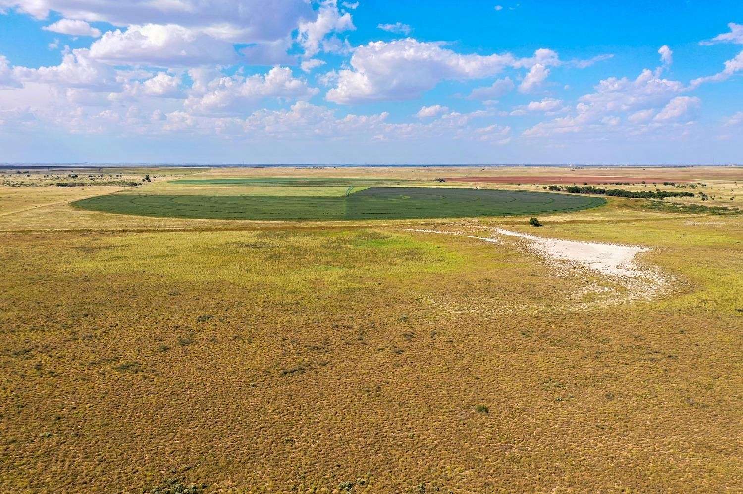 174 Acres of Land for Sale in Muleshoe, Texas