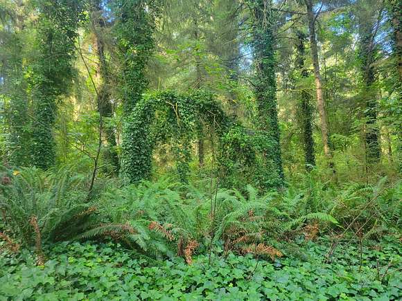 8 Acres of Residential Land for Sale in Crescent City, California