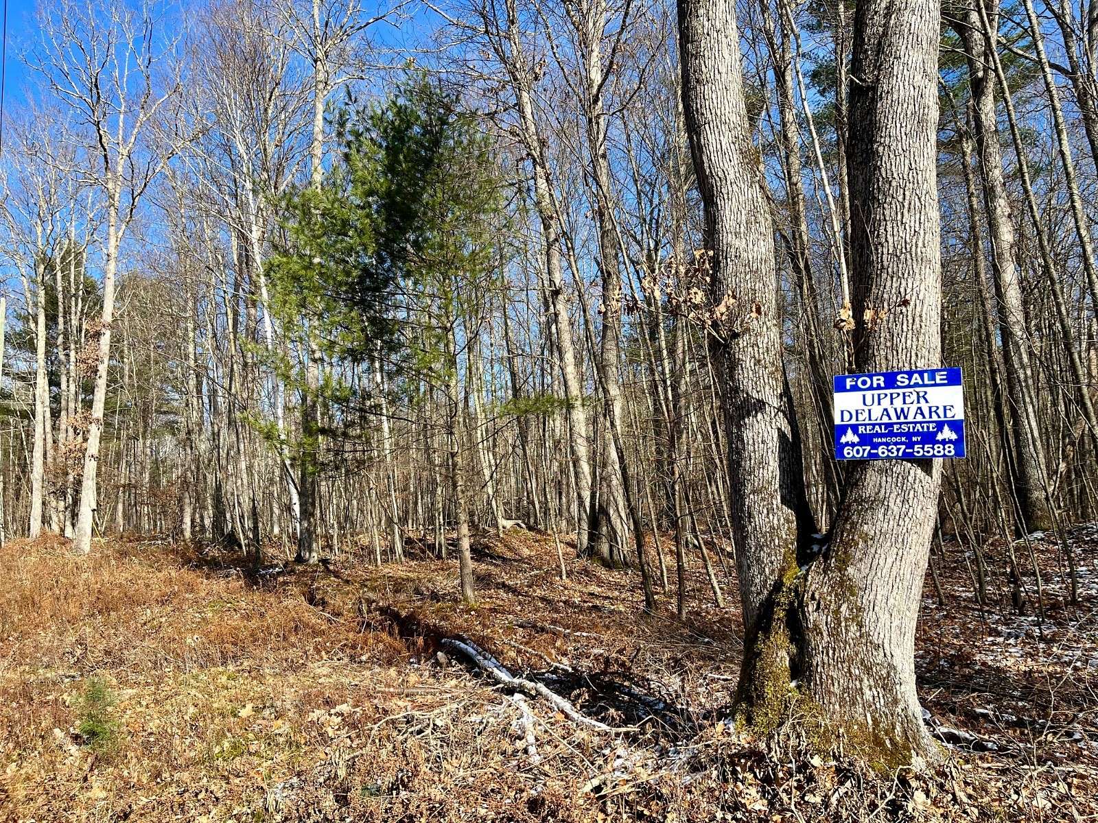 5.1 Acres of Land for Sale in Hancock, New York