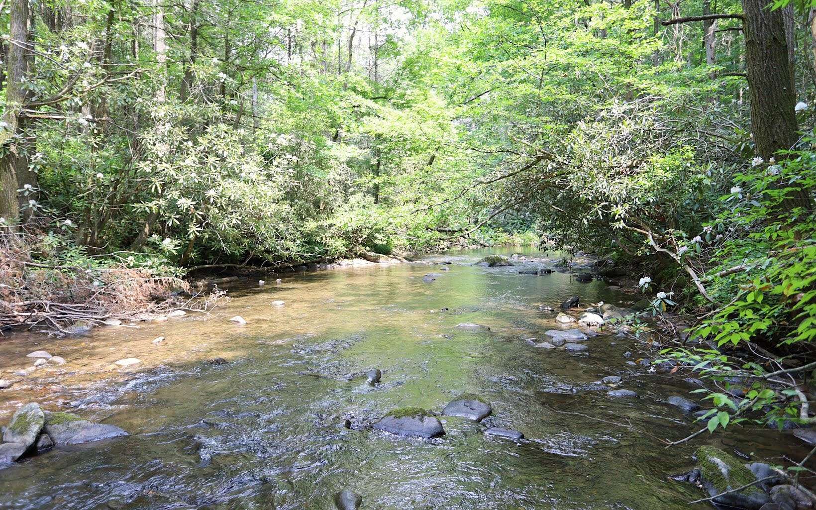 5 Acres of Land for Sale in Copperhill, Tennessee