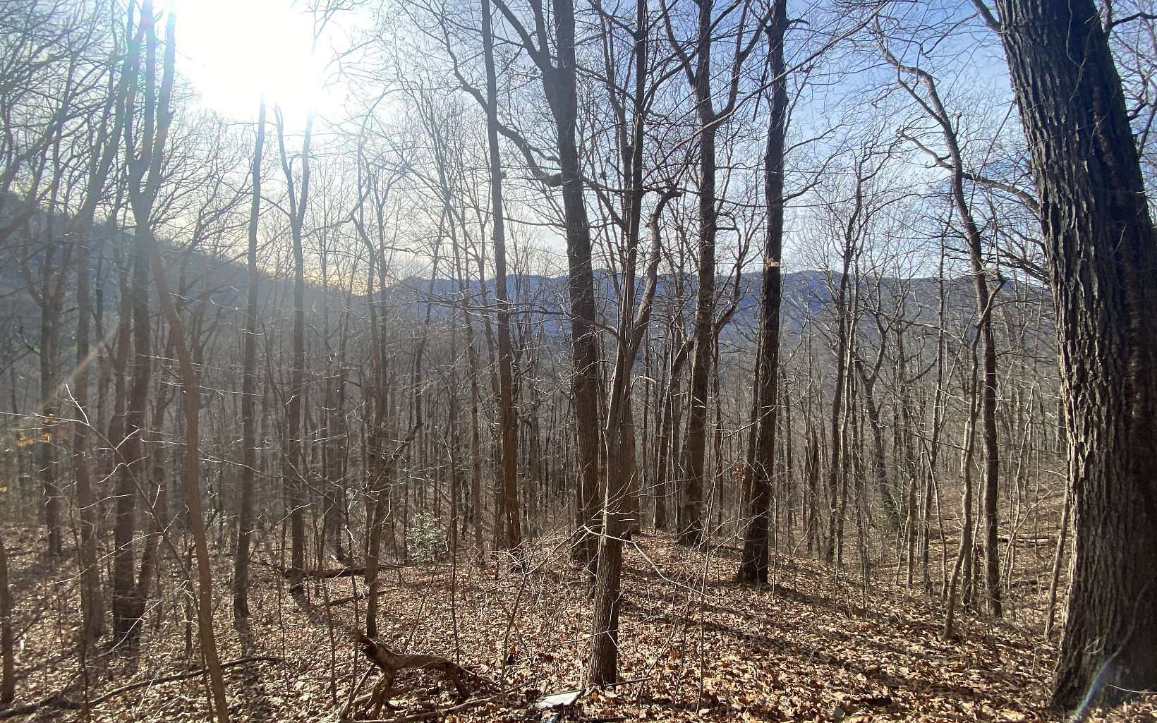 5.3 Acres of Residential Land for Sale in Hiawassee, Georgia