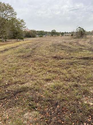 3 Acres of Mixed-Use Land for Sale in Brundidge, Alabama