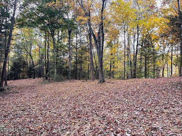 3.1 Acres of Residential Land for Sale in Sevierville, Tennessee