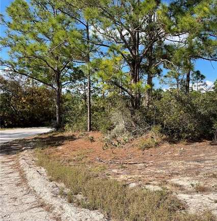 0.26 Acres of Residential Land for Sale in Lake Placid, Florida