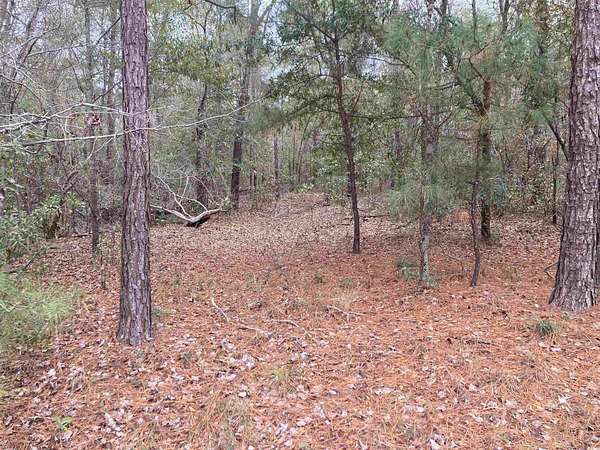 8.15 Acres of Residential Land for Sale in Johnsonville, South Carolina