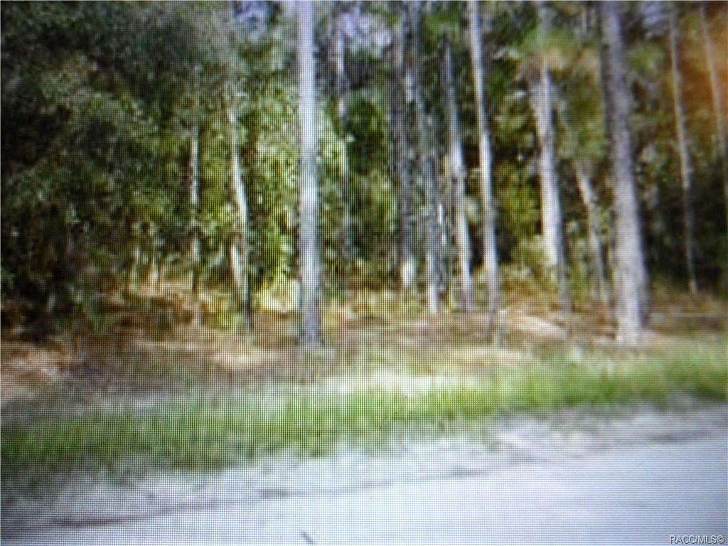 5 Acres of Land for Sale in Lecanto, Florida