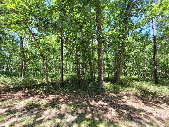 10 Acres of Recreational Land for Sale in Hamilton Township, New Jersey