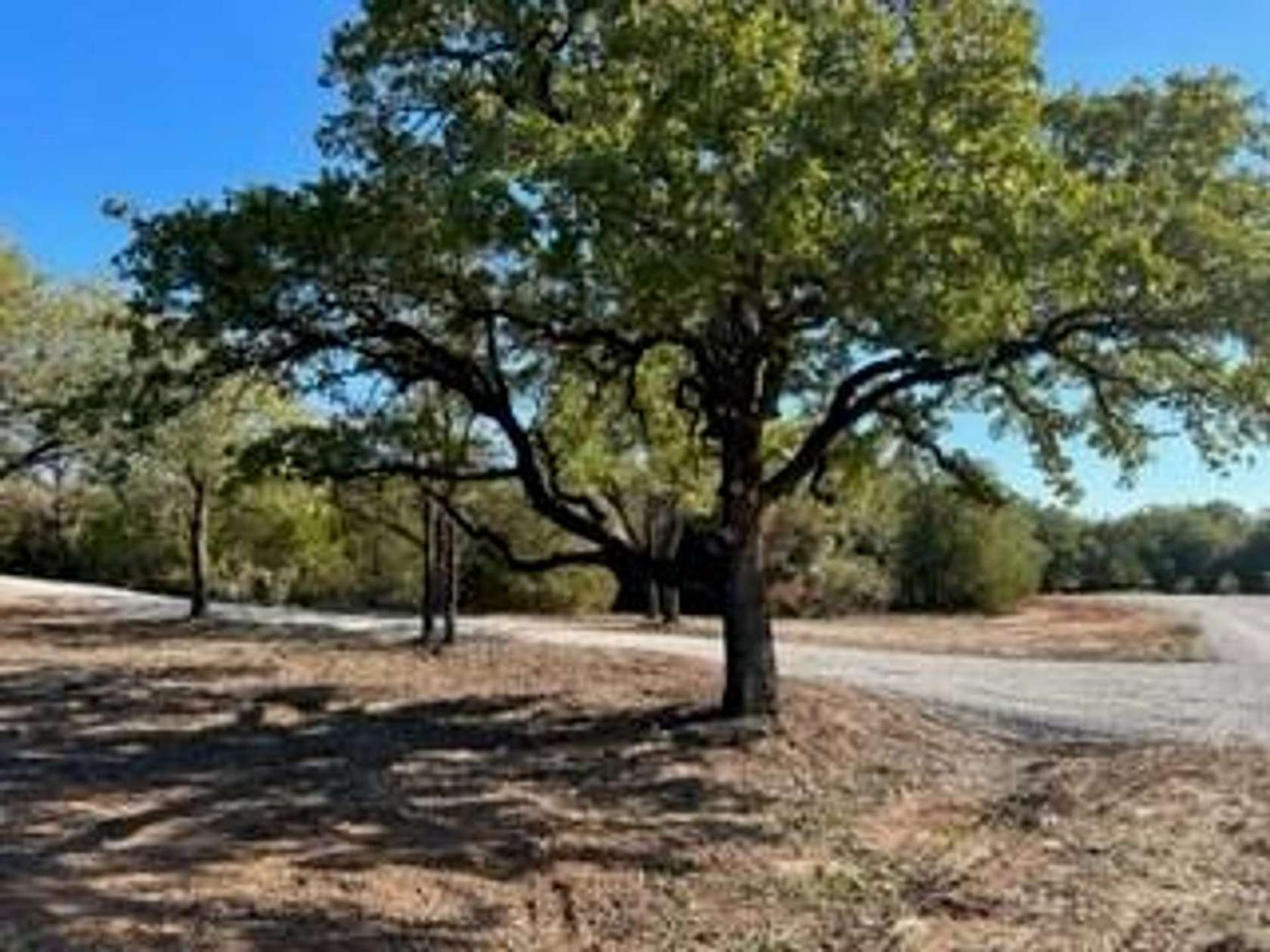16 Acres of Recreational Land for Sale in Bridgeport, Texas