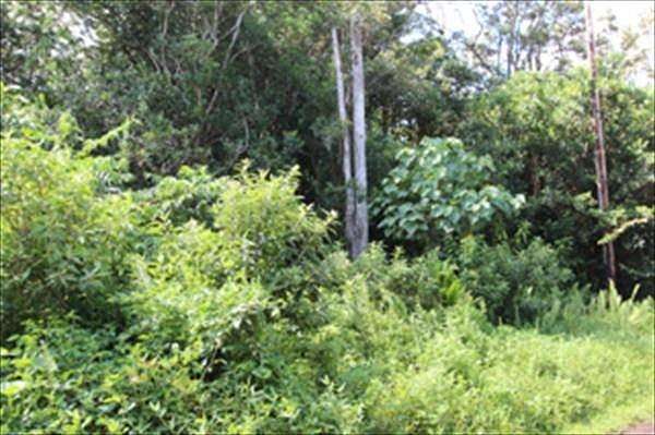0.18 Acres of Land for Sale in Pahoa, Hawaii