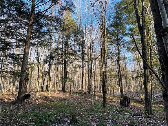 5.1 Acres of Land for Sale in Harrisville, New York