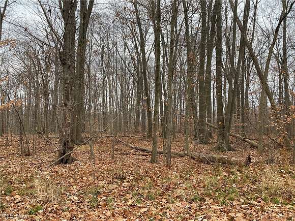 0.34 Acres of Residential Land for Sale in Solon, Ohio