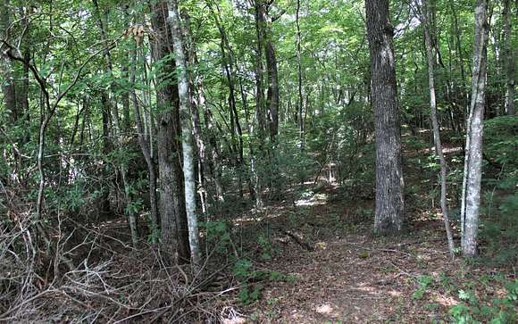 0.71 Acres of Residential Land for Sale in Hayesville, North Carolina