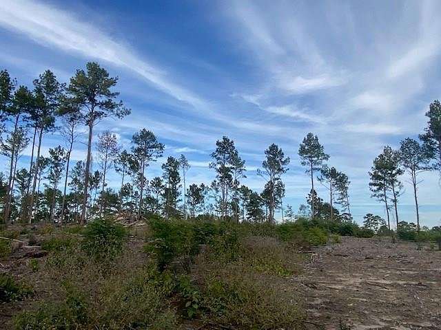 18.7 Acres of Land for Sale in Corrigan, Texas