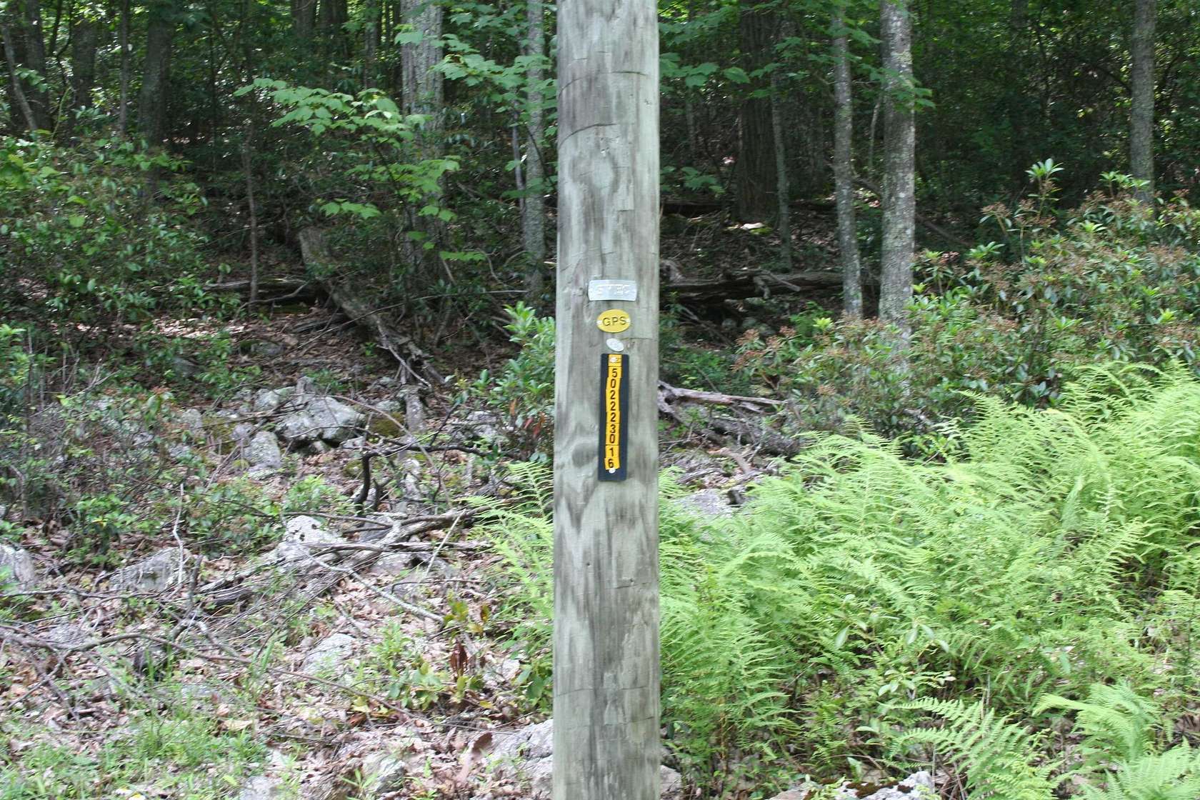 5 Acres of Residential Land for Sale in Monterey, Virginia