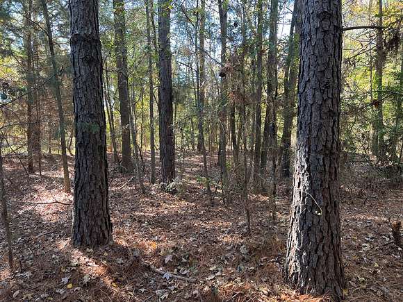 7.9 Acres of Land for Sale in Daingerfield, Texas