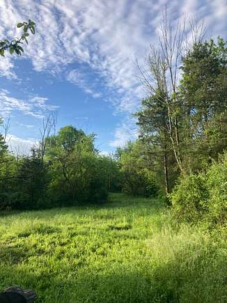 117 Acres of Recreational Land for Sale in Rising Sun, Indiana