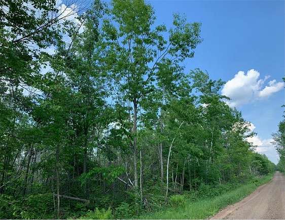 39 Acres of Recreational Land for Sale in Sandstone Township, Minnesota