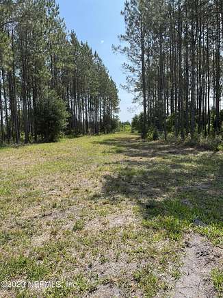 173 Acres of Recreational Land for Sale in Perry, Florida