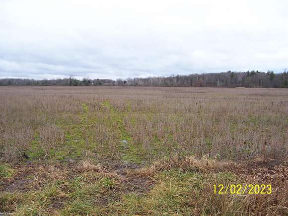 75.4 Acres of Land for Sale in Kimball, Michigan