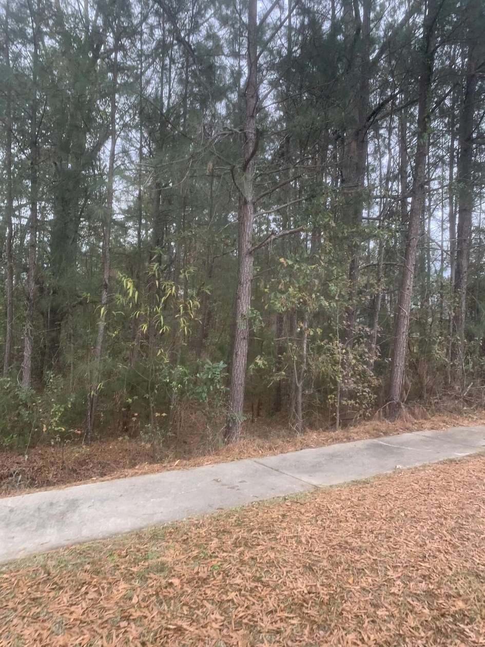 0.42 Acres of Residential Land for Sale in Johnston, South Carolina